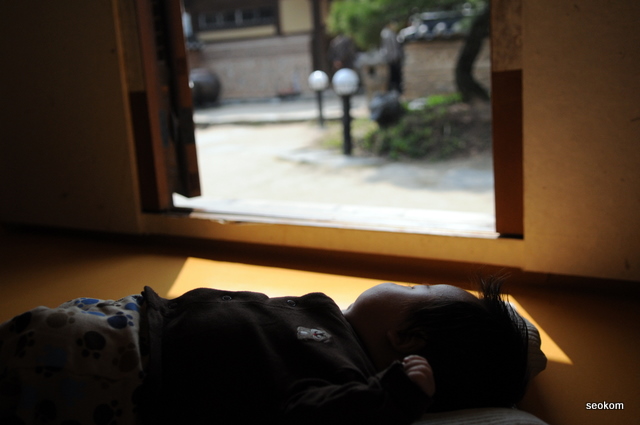 사용자 삽입 이미지